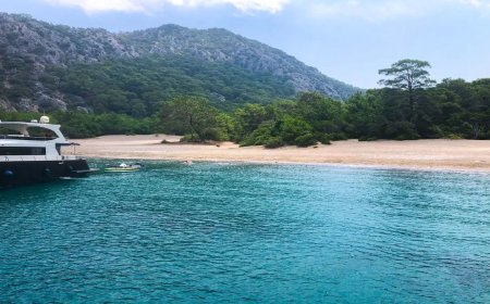 Doğanın Kucağında Sessiz Bir Mola: Sazak Koyu'nun Saklı Güzelliği