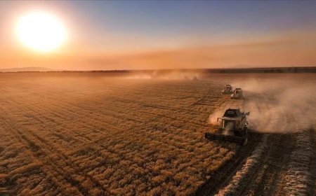 Çiftçilere Bugün 116,3 Milyon Lira Destek Ödemesi Yapılacak