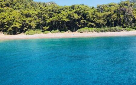 Ege’nin Saklı Cenneti! Domuz Çukuru Koyu’nda Huzur ve Doğa Buluşuyor