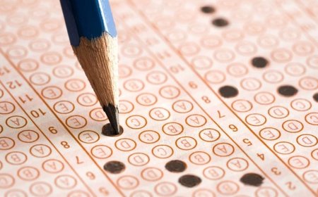 MEB AGS Sınav Sonuçları 2025 Açıklandı! İşte Sonuç Sorgulama Ekranı