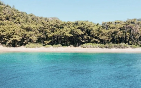Datça’nın saklı cenneti! Domuz Çukuru Koyu keşfedildi