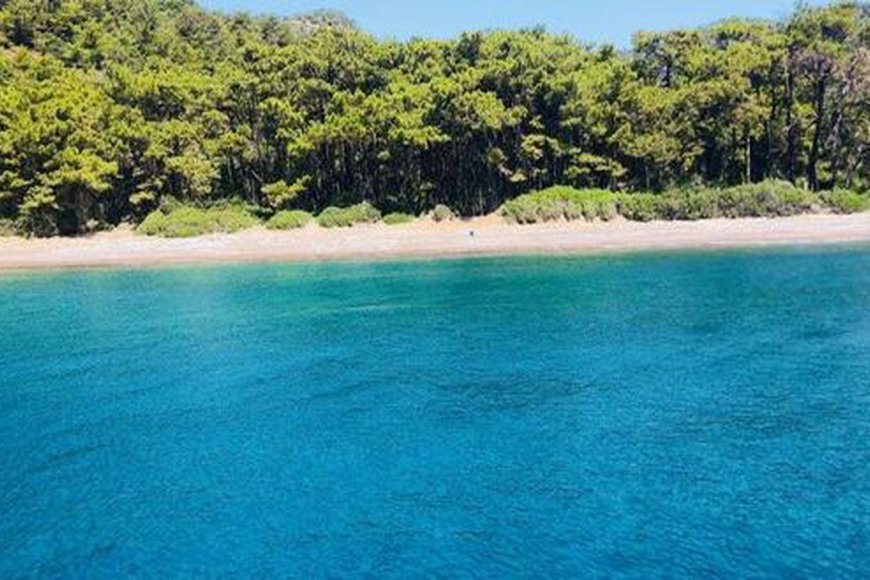 Ege’nin Saklı Cenneti! Domuz Çukuru Koyu’nda Huzur ve Doğa Buluşuyor